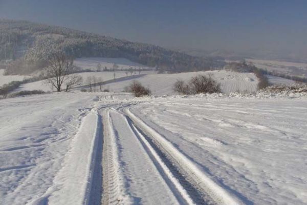 Běžkaři si mohou užívat upravených stop v blízkosti Plzně