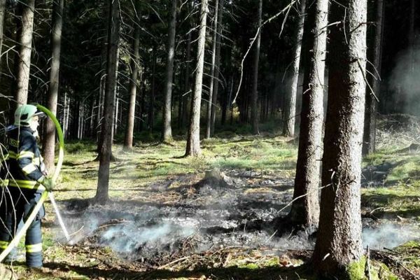 Region: Během víkendu hasiči likvidovali několik požárů lesního porostu