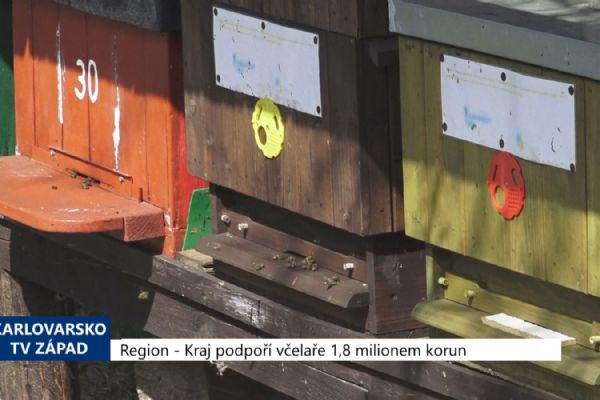 Region: Kraj podpoří včelaře 1,8 milionem korun (TV Kraj)