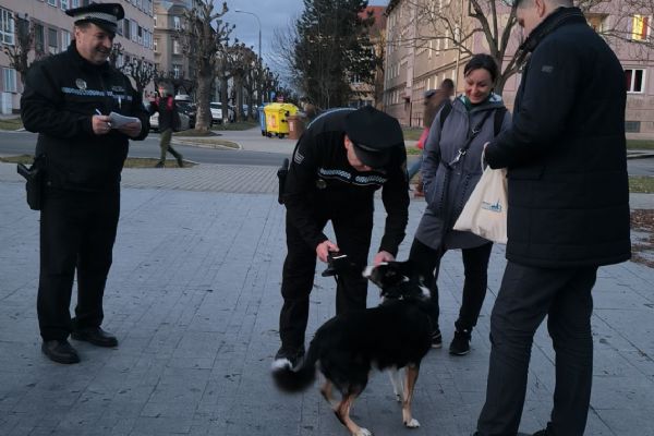 Centrální obvod daroval strážníkům nové čtečky psích mikročipů
