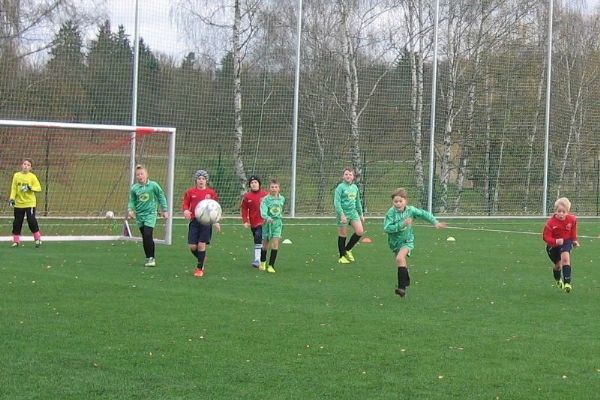 Energie pro sport: Plzeňští radní souhlasí s podporou pro sportovní kluby