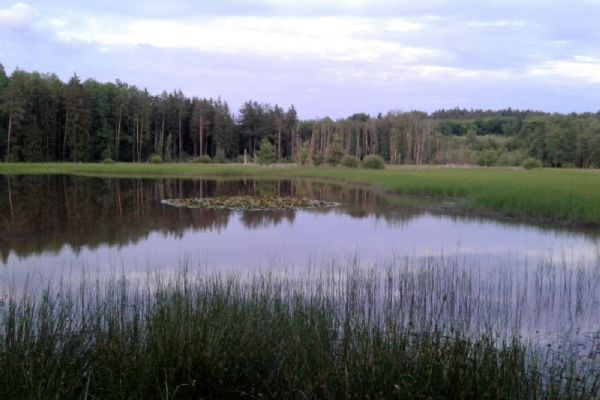 Kokotské rybníky přivítají v sobotu ochranáře