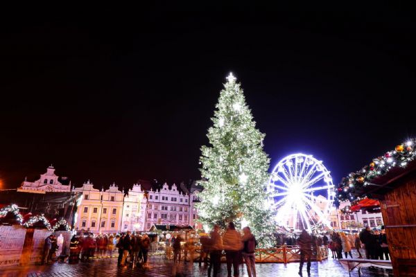 Letošní vánoční strom pro Plzeň vyrostl v Dýšině