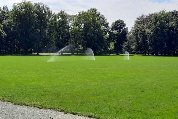 Plzeň podpořila chytré zavlažování, technologii používá v parcích