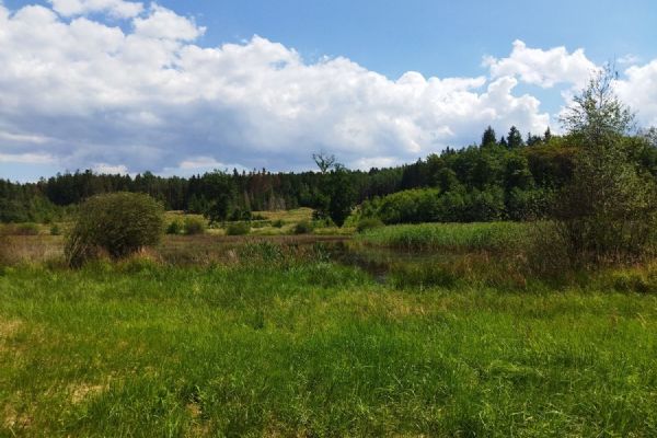 Plzeň revitalizuje rekreační oblasti, obnoví Podhorní kokotský rybník