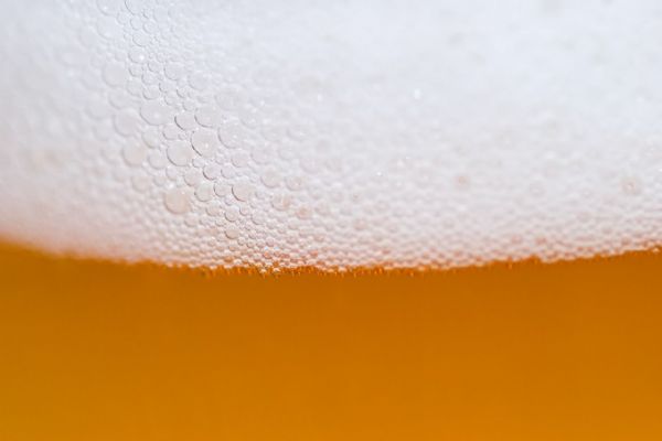 Plzeň si vyzkouší umělou inteligenci všemi smysly, třeba při čepování piva