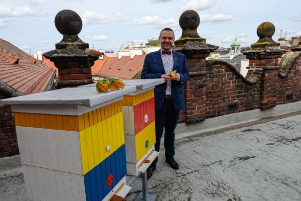 Plzeň stočila první med z úlů na střeše radnice 