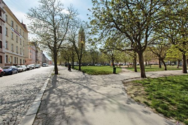 Po obnově Jiráskova náměstí vzroste počet stromů