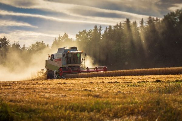 Zemědělci v Plzeňském kraji ztrácejí půdu