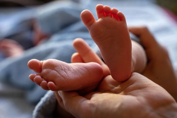 V porodnicích v Klatovech, Stodu a Domažlicích se loni narodilo 1398 dětí