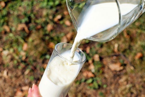 Zemědělci z kraje založili mlékařské družstvo Západ