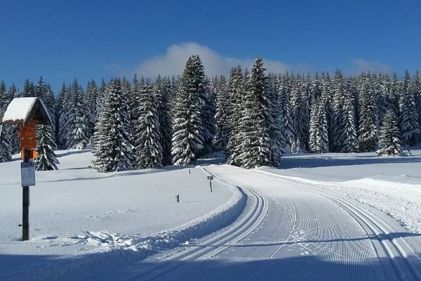 Krušnohorská lyžařská magistrála hlásí skvělé podmínky pro běžkaře