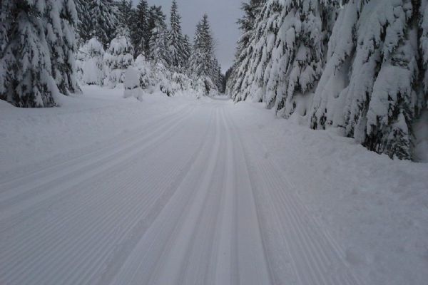 Když nasněží, v Brdech vzniknou desítky kilometrů běžkařských tras