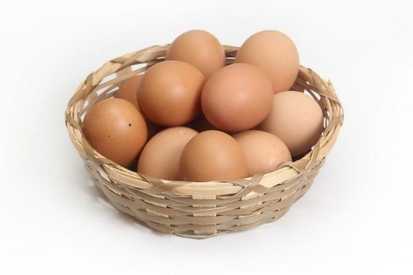 Pražské školní jídelny budou odebírat jen vejce z bezklecových chovů