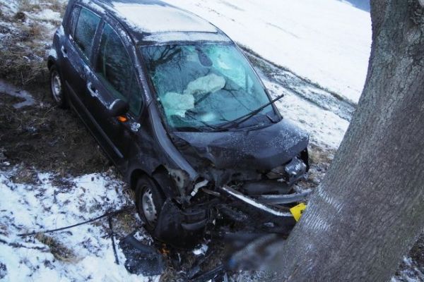 Karlovarsko: Řidič narazil s vozidlem do stromu