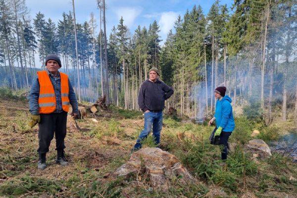 Karlovy Vary: V lázeňských lesích pracuje devět ukrajinských uprchlíků