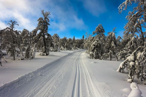 Mariánské Lázně: Kraj schválil příspěvek na úpravu lyžařských běžeckých tras