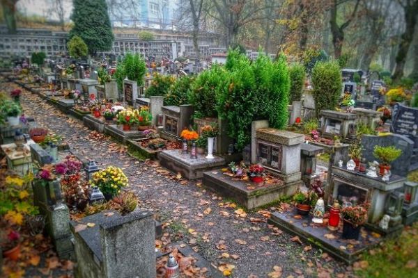 Dotace zpětně pomůže s financováním elektrovozidla pro brněnské hřbitovy
