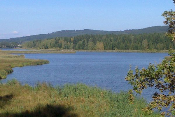 Ochránci přírody z Rokycan vyrazí příští sobotu na Padrťské rybníky. Můžete se přihlásit a jet s nimi  