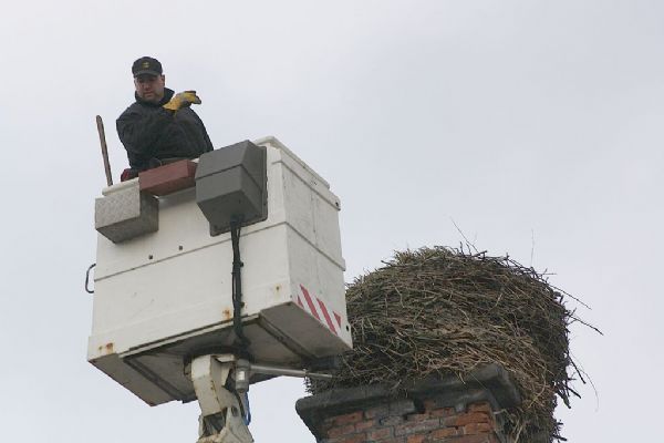 Plzeňští zvířecí záchranáři upravovali čapí hnízda v Chodové Plané a Františkových Lázních