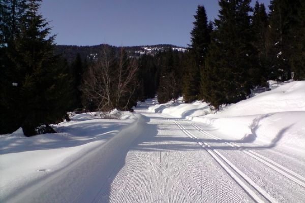 Dotace na úpravu lyžařských běžeckých tras vyhlášeny 