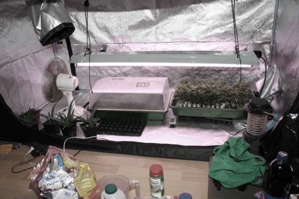 Úspěch krajských kriminalistů: Chytili dealery kokainu a odhalili pět pěstíren marihuany 