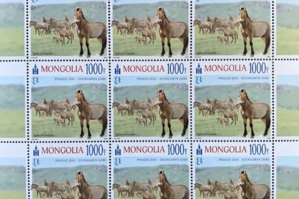 V Mongolsku pokřtili poštovní známku jako ocenění návratu divokých koní