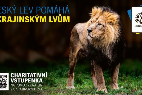 Zoo Praha nabízí možnost podpory ukrajinských zoo koupí „charitativní vstupenky“