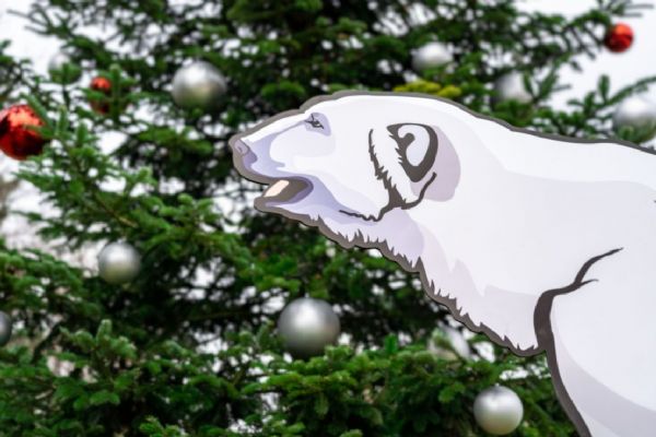 Zoo Praha v neděli rozsvítí vánoční strom a představí plánovanou expozici Arktidy