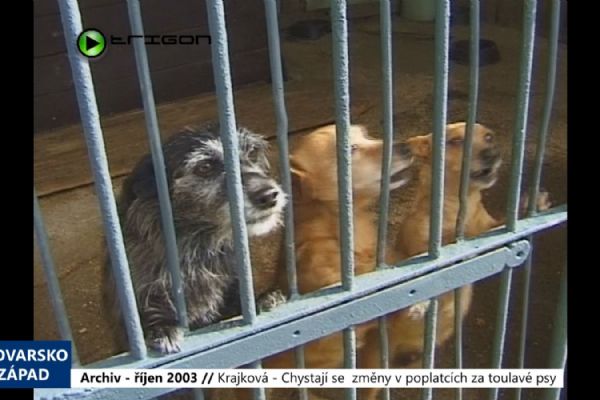 2003 – Krajková: Chystají se změny v poplatcích za toulavé psy (TV Západ)
