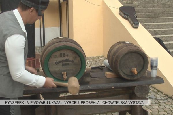 Kynšperk: V pivovaru ukázali výrobu, proběhla i chovatelská výstava (TV Západ)