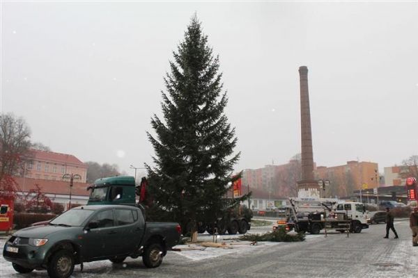 Aš: Dnes byl na náměstí umístěn vánoční strom 