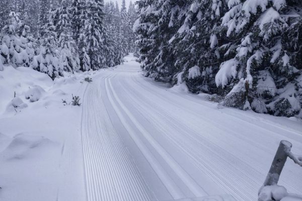 Železnorudsko a největší lyžařské areály očekávají vydařenější zimu než loni