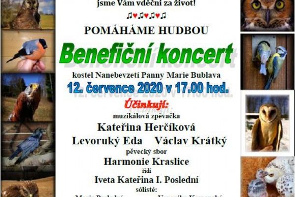 Bublava: Benefiční koncert pro Droseru