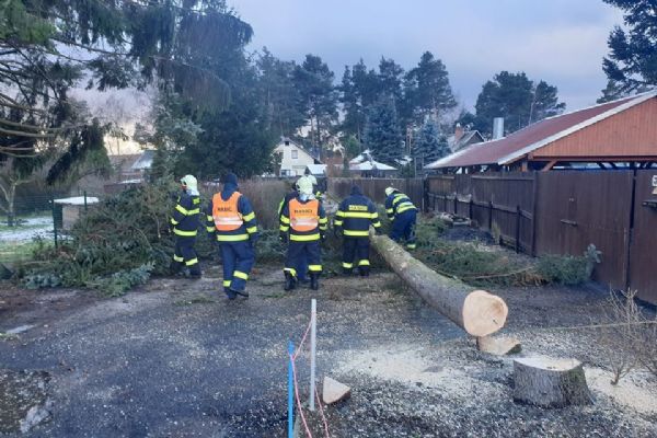 Bystřice: Na dráty elektrického vedení spadl strom