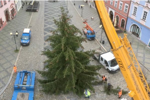 Cheb: Do města dorazil vánoční strom