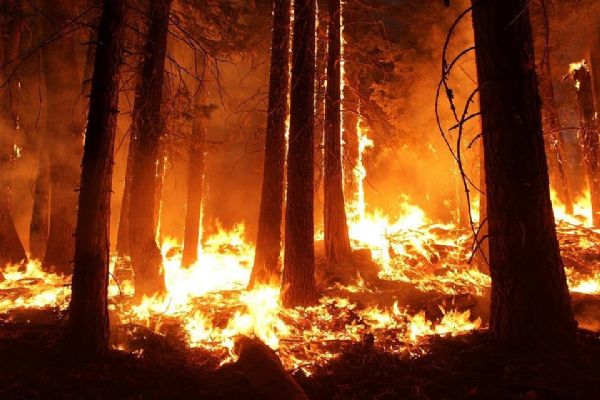 Hejtmanka vyhlašuje dobu zvýšeného nebezpečí vzniku požárů na území regionu