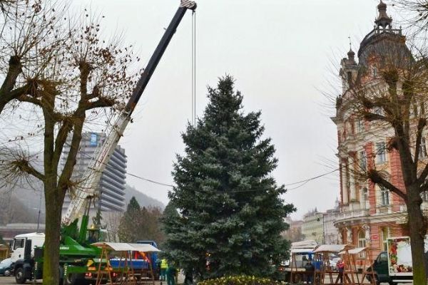Karlovy Vary: Město hledá strom na vánoční trhy