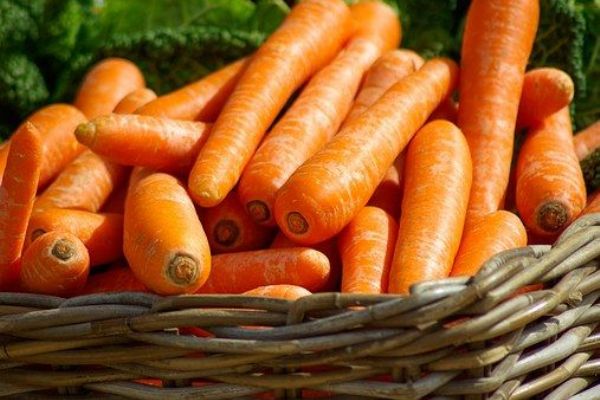 Karlovy Vary: Na pátečních farmářských trzích nakoupíte čerstvou zeleninu z Polabí