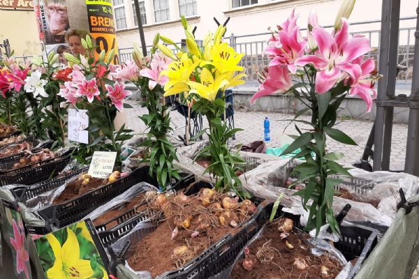 Karlovy Vary: Zítra opět nakoupíte u farmářů 