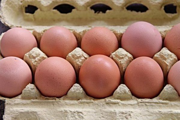 Kontroly SVS se soustřeďují na nezávadnost a správné značení vajec
