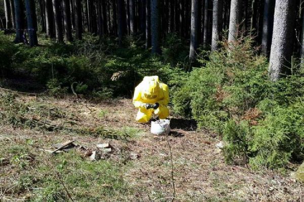 Kraslice: V lese byla nalezena nebezpečná neznámá látka