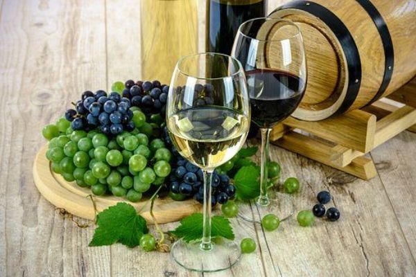 Novela vinařského zákona přispěla ke snížení výskytu falšovaných vín na trhu