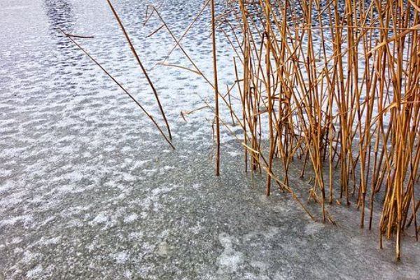 Region: Hasiči varují! Pozor na nedostatečně zamrzlé vodní plochy