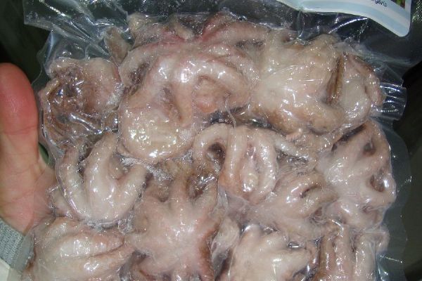 SVS nařídila stáhnout z prodeje zmražené chobotnice. Obsahovaly nadlimitní množství kadmia