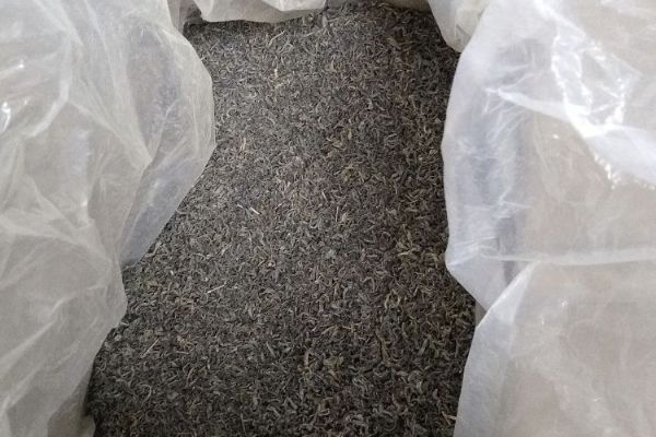 SZPI zakázala 300 kg zeleného čaje s insekticidem permethrin