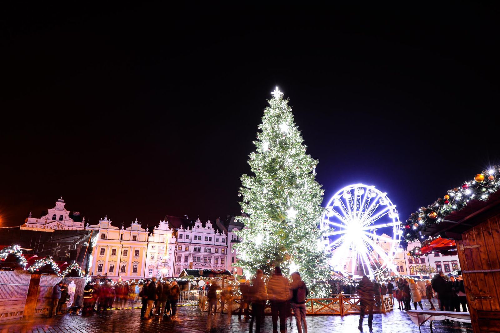 Letošní vánoční strom pro Plzeň vyrostl v Dýšině