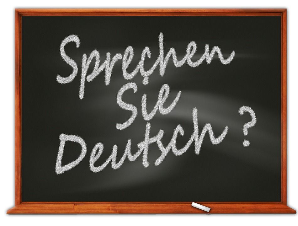 Němčina nad zlato: jazykové animace na školách v Plzni pokračují online