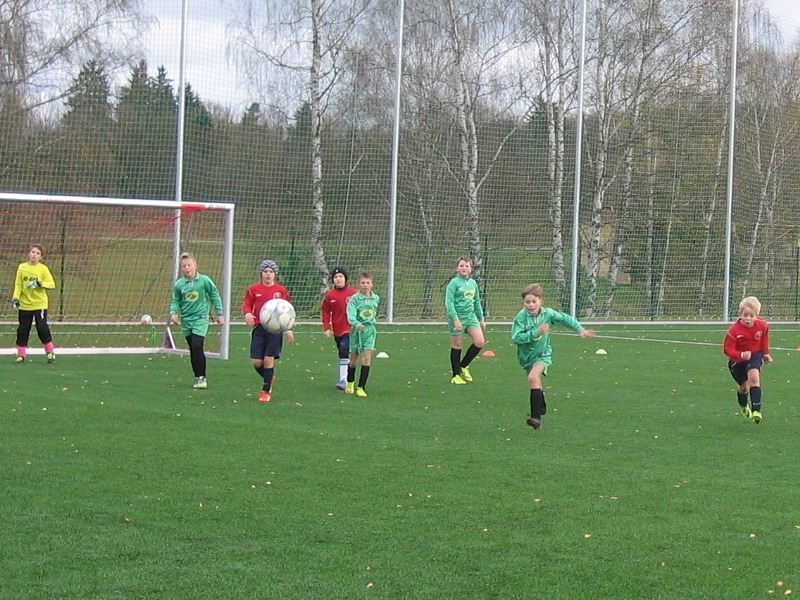 Plzeň dotacemi podpoří opravy sportovišť. Rozdělí 10 milionů 