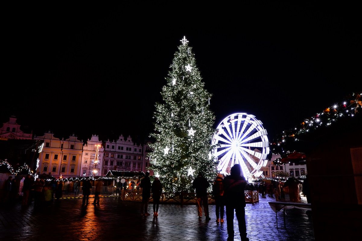 Plzeň hledá vánoční strom. Pomůže s odstraněním, zajistí dopravu